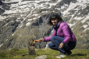 Die Murmeltiere sind absolut zahm, lassen sich füttern und sogar streicheln. Ines gefällts.