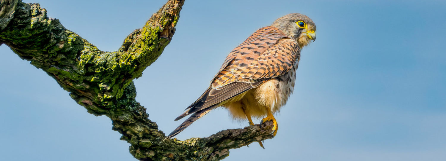 Fotoklub Leonding