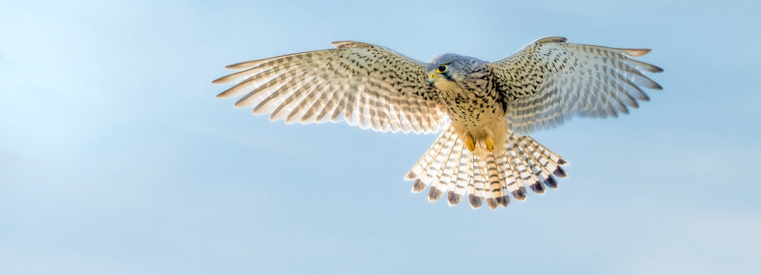 Fotoklub Leonding